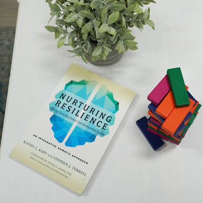 Nurturing Resilience Book, Plant, and Colorful Blocks Book 'Nurturing Resilience' by Kathy L. Kain and Stephen J. Terrell, a potted plant, and colorful wooden blocks on a white t…